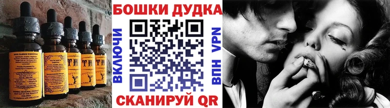 Купить закладки  Кировск  Canna-Cookies марихуана 