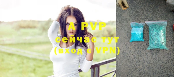 соль ск Гусь-Хрустальный