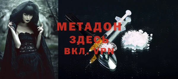 прущие грибы Новозыбков