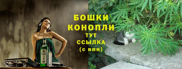 эйфоретик Гусев