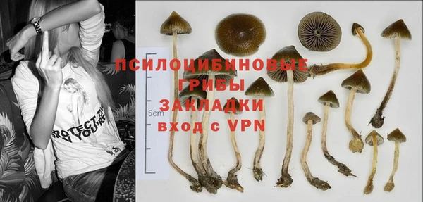 соль ск Гусь-Хрустальный