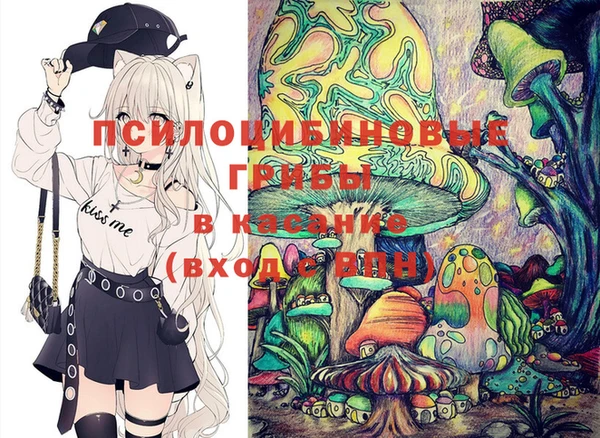 гидра Новодвинск